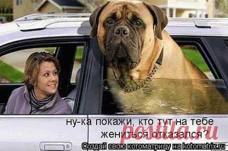 bondaren-nadejda — «350856.jpg» на Яндекс.Фотках