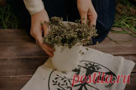 Какие знахарские способы лечения на Руси теперь нам кажутся дикими — Домашние