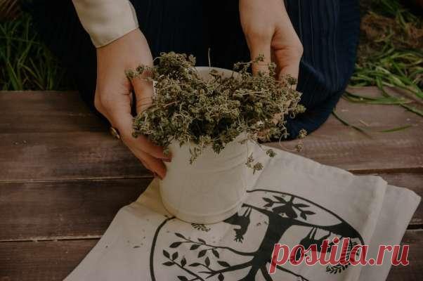 Какие знахарские способы лечения на Руси теперь нам кажутся дикими — Домашние