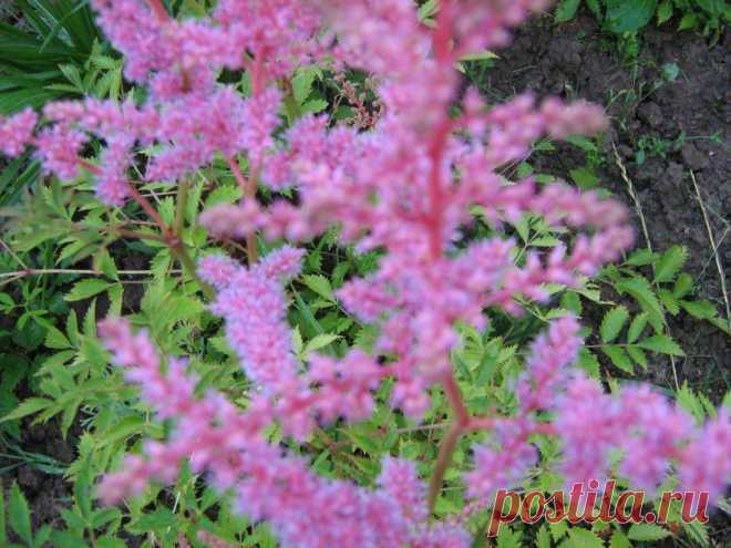 Галина Грозионова