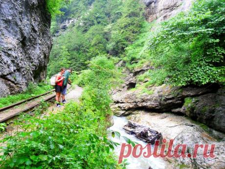 Летом, в окрестностях Мезмая - 22 Июля 2015 - Персональный сайт