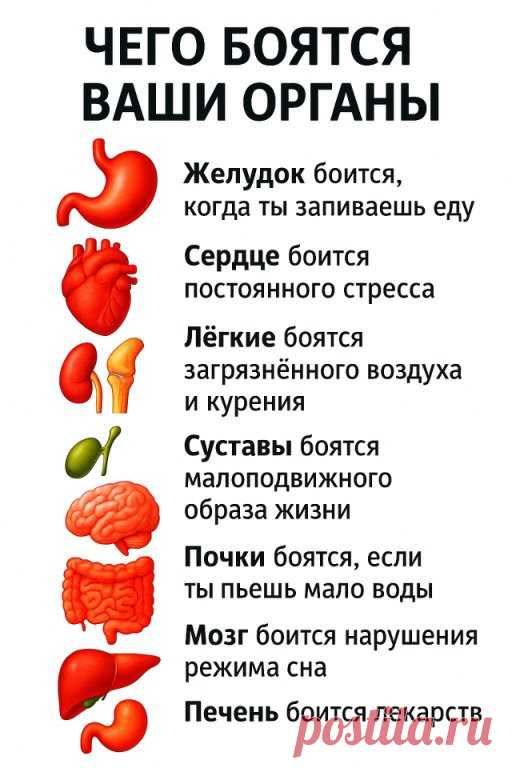 Чего боятся ваши органы, знали ли вы?