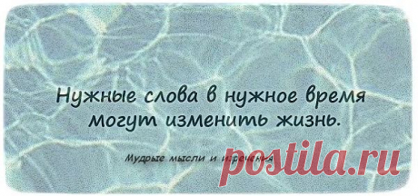 высказывания