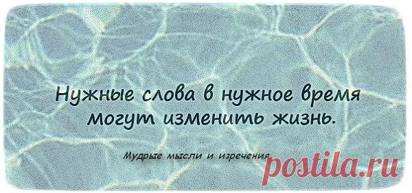 высказывания