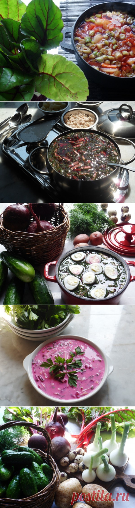 7 уникальных старинных рецептов свекольников &amp;#8212; Вкусные рецепты