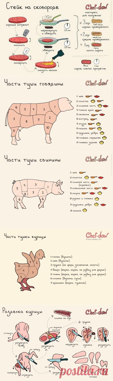 20 шпаргалок, которые пригодятся на кухне