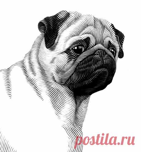 Чтоб мы так жили! - Я мопсам оду пропою! :))