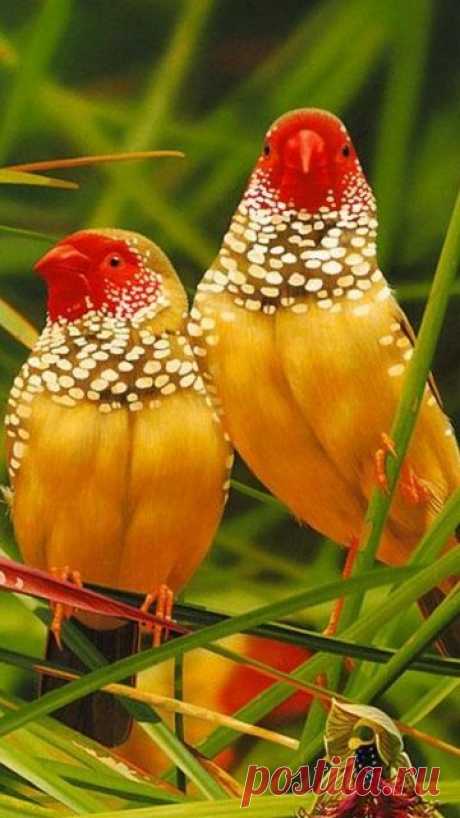 angelillo — beauty-belleza-beaute-schoenheit: via Imgfave...