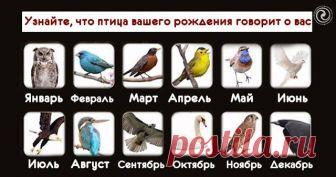 Что птица скажет о Вас по месяцу рождения 
 




Многие считают, что год, месяц и день рождения человека играют важную роль в формировании характера и будущего этого человека. Изучение личности по месяце рождения может быть интересным.

 

Зн…