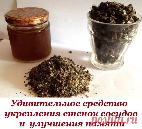Удивительное средство укрепления стенок сосудов, улучшения памяти и повышения иммунных сил организма

Нужно взять 1 столовую ложку пчелиного подмора (пчеловоды знают, что это такое, а для остальных объясню - это трупики пчёл) измельчить его в порошок, залить 0,5 литра хорошей водки, настоять 2 недели, потом процедить и принимать по 15-20 капель после еды в течении 1 - 2 месяцев.

Показания: Стабилизация кровяного давления, сердечно-сосудистые заболевания, заболевания почек...