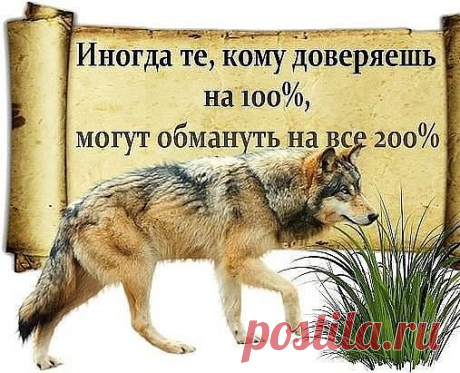 Никогда не угадаешь, кто достоин доверия. Самые близкие  порой — предают. Самые чужие — неожиданно помогают.
(продолжение - ЖМИ ↓↓↓)