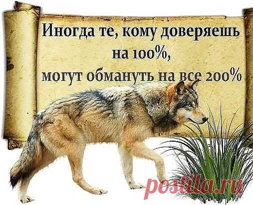 Никогда не угадаешь, кто достоин доверия. Самые близкие  порой — предают. Самые чужие — неожиданно помогают.
(продолжение - ЖМИ ↓↓↓)