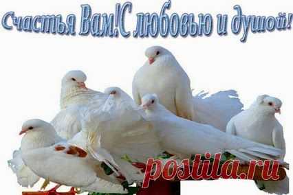 Наталья Милош – Google+