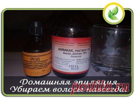 Дневник Феврония52