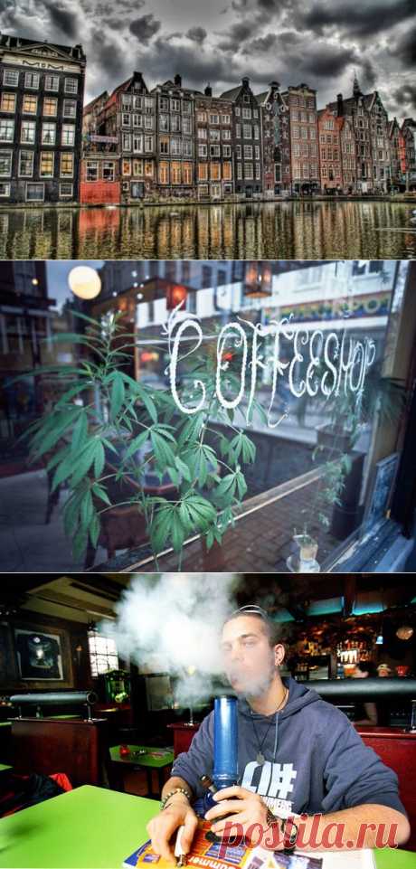 Амстердам - город растаманов, рай для любителей травки - Blog