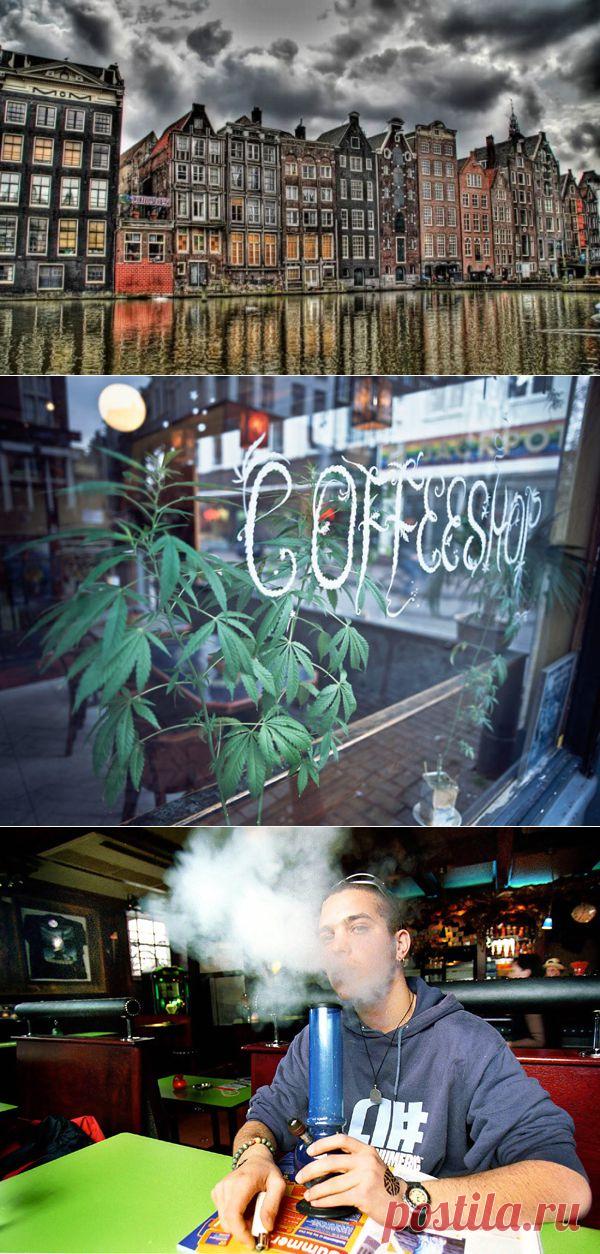 Амстердам - город растаманов, рай для любителей травки - Blog