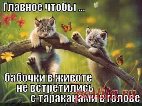 Интересные новости