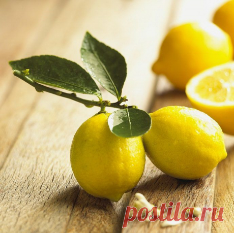 Натуральные средства для профилактики гриппа / Все для женщины