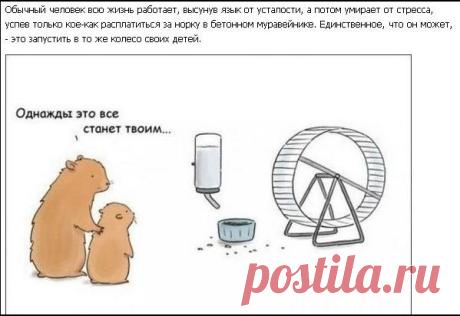 Вы можете быть предельно осторожны, пытаясь избежать любого риска, но нельзя обезопасить себя со всех сторон. Я верю, что удача играет очень большую роль в нашей жизни. Нетрудно сдаться в тяжелой ситуации, но я убежден, что мы должны оставаться верными нашим мечтам и целям. И если уж вы решились на что-то, не надо оглядываться назад и сожалеть о сделанном шаге.
Ричард Брэнсон. К чёрту всё! Берись и делай!