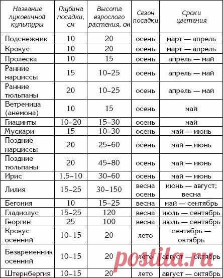 Построй уДАЧУ, дом|Строительство, ремонт, дача