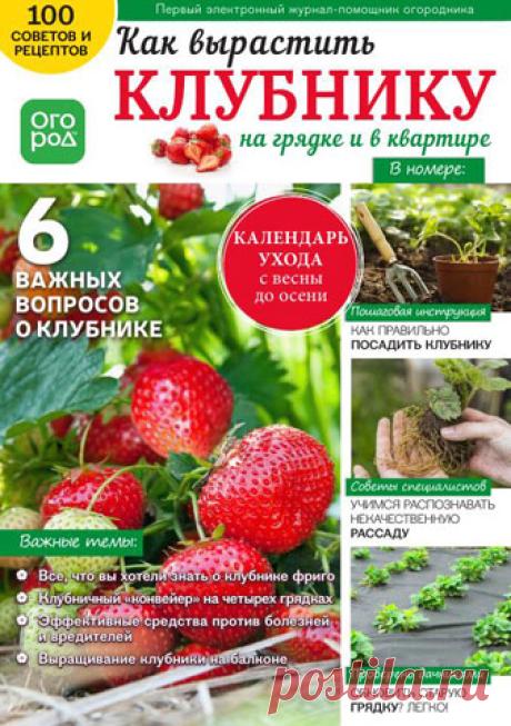 Огород.ru - Полезные советы о загородной жизни