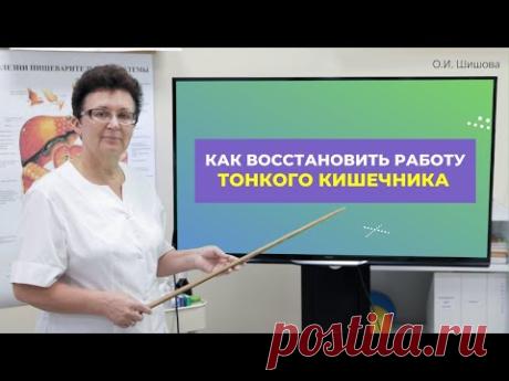 КАК ВОССТАНОВИТЬ РАБОТУ ТОНКОГО КИШЕЧНИКА [Шишова О.И.]