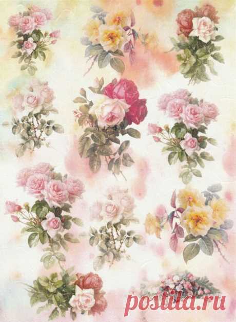 d958d2cf8f1ac8be706ec6107b1eafc5.jpg (564×768)