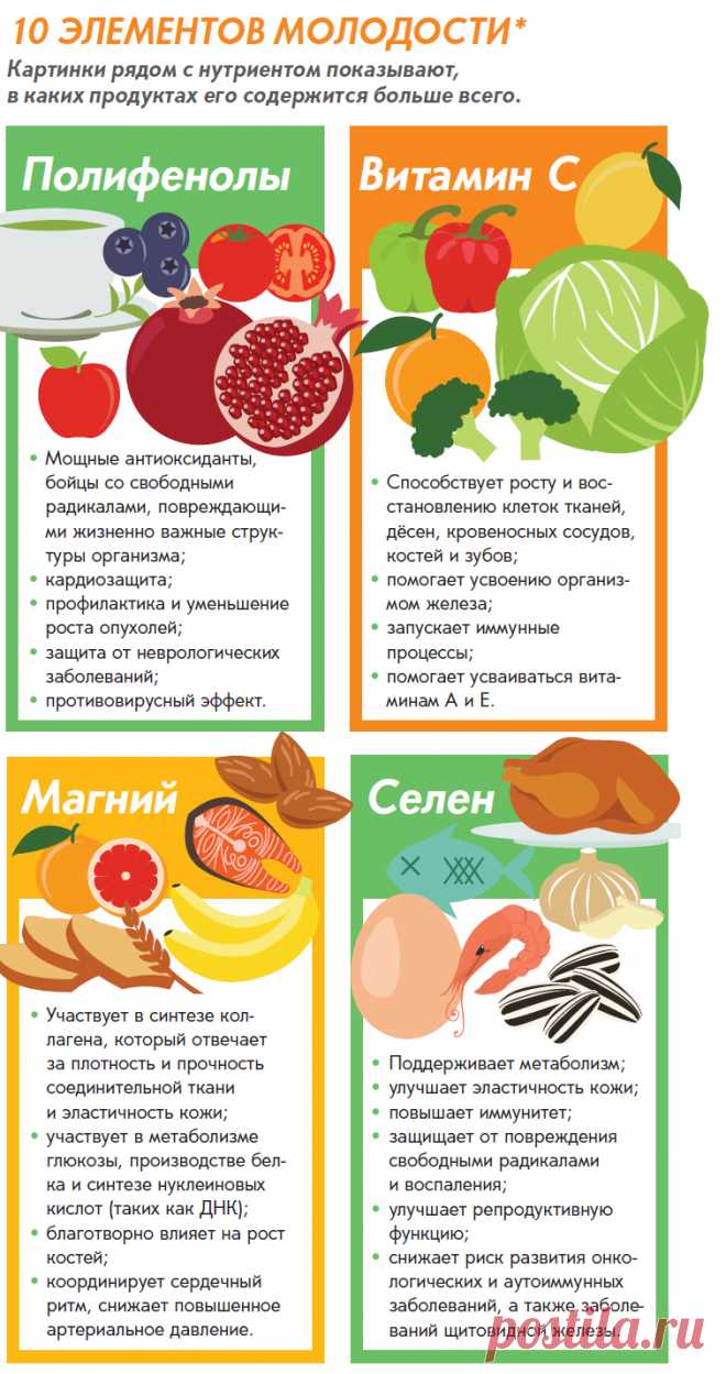 “Молодильные яблоки”… или какие продукты тормозят старение? | Всегда в форме!