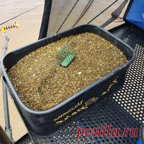 Карась и буффало,есть родственная связь? Разибраемся и ставим точку.