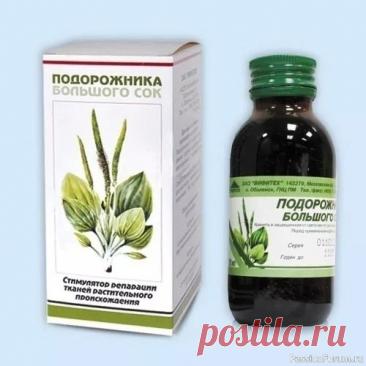 Полезные свойства подорожника Сок подорожника оказывает антисептическое, кровоостанавливающее и ранозаживляющее действие.&nbsp;Химический состав растения богат полезными компонентами и включает в себя:&nbsp;Аукубин &mdash; гликозид с антимикробным и противовирусным действием, встречается в составе лекарственных...