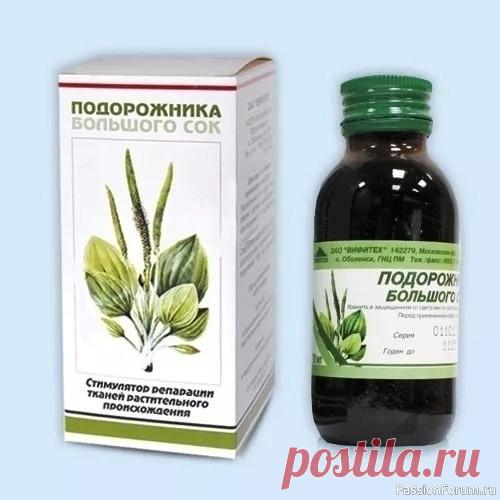 Полезные свойства подорожника Сок подорожника оказывает антисептическое, кровоостанавливающее и ранозаживляющее действие. Химический состав растения богат полезными компонентами и включает в себя: Аукубин — гликозид с антимикробным и противовирусным действием, встречается в составе лекарственных...