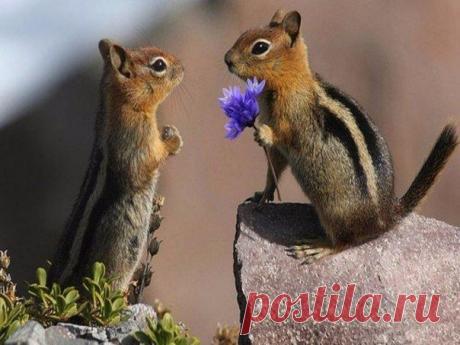 Любите друг друга сейчас, другой жизни не будет.