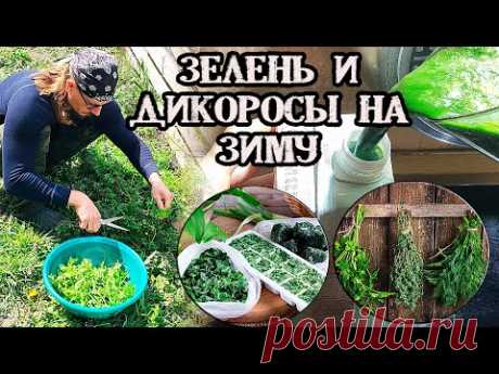 🌿 Зелень и дикоросы на зиму. Лучшие способы заготовки для здорового питания.