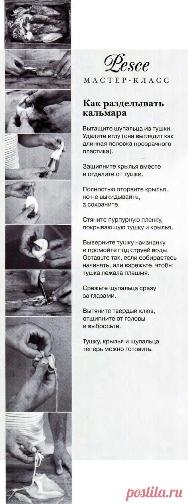 Как разделывать кальмара