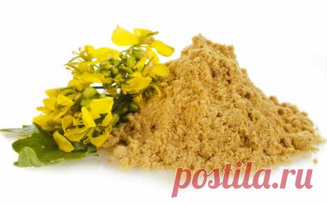 Горчица спешит на помощь