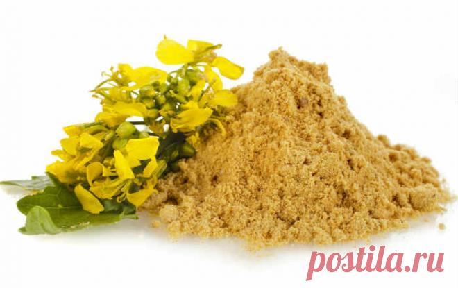 Горчица спешит на помощь