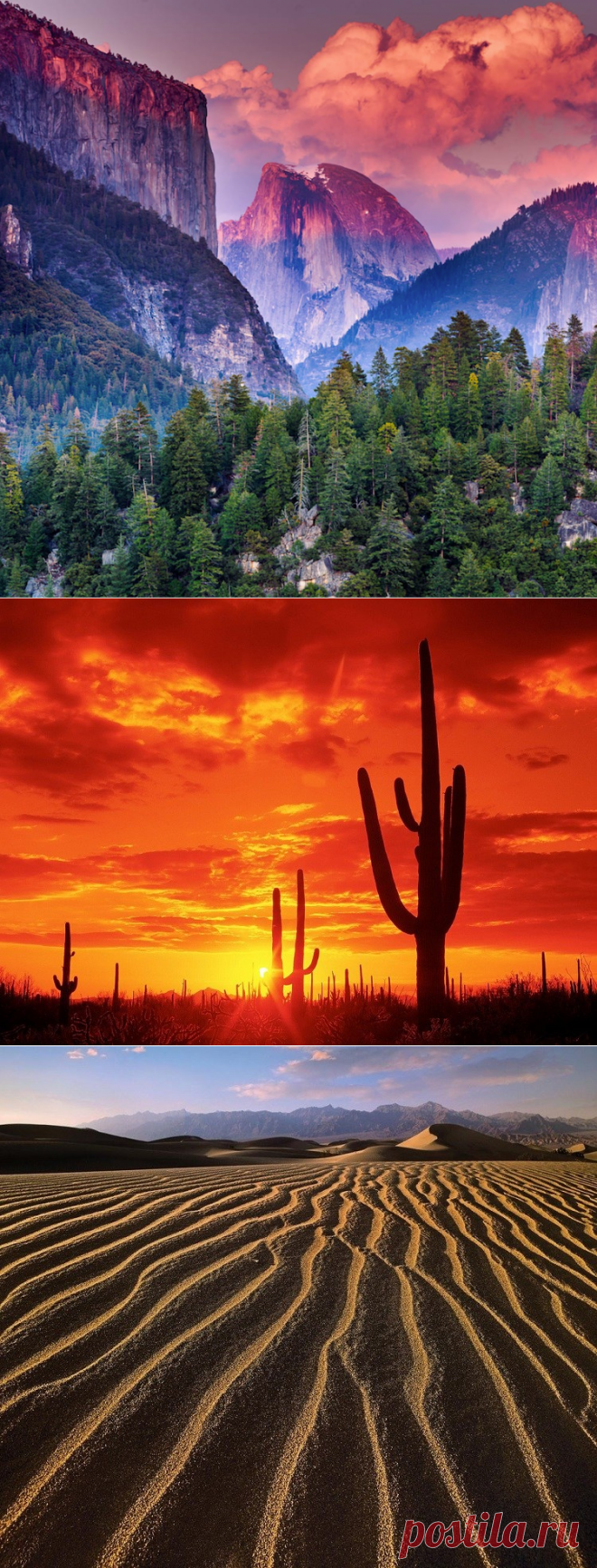 Краски мира