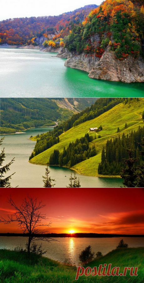 ***МИР ЧАРУЮЩЕЙ ПРИРОДЫ***.