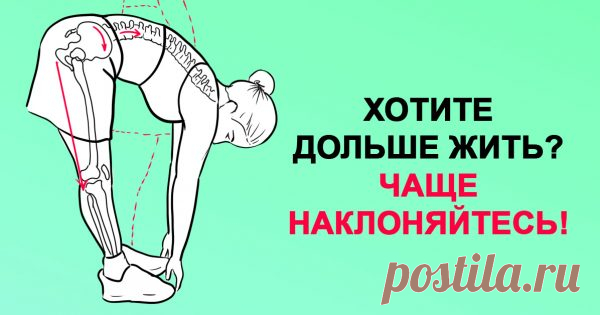 Хочешь жить дольше? Чаще наклоняйся! Поясничная мышца — это самая глубокая мышца человеческого тела, влияющая на наш структурный баланс, мышечную интеграцию, гибкость, силу, диапазон движений, подвижность суставов и функционирование орга…