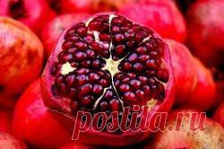 (+1) тема - ВСЁ, ЧТО НАДО ЗНАТЬ О ГРАНАТЕ | ЗДОРОВЫЙ ОБРАЗ