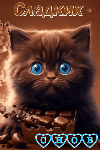 Сладких снов