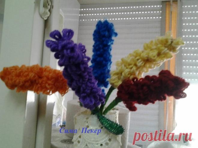 Дневник Сима_Пекер