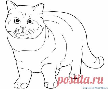 Распечатать раскраску на принтере. Раскраски для детей :: Все для детей. Детские ресурсы
