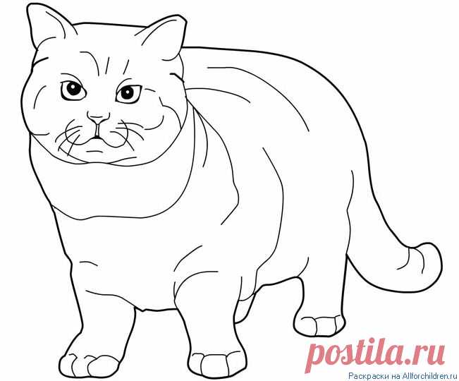 Распечатать раскраску на принтере. Раскраски для детей :: Все для детей. Детские ресурсы