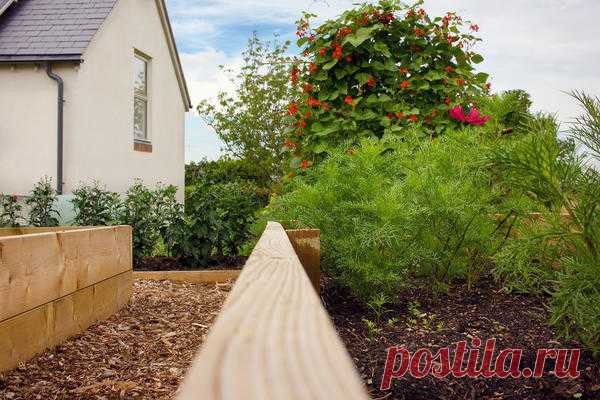 План совершенного огорода: 10 простых правил, которые облегчат ваш труд