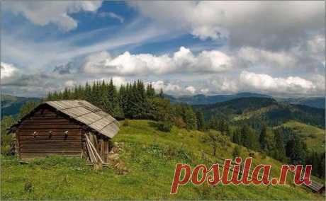 (10) Facebook