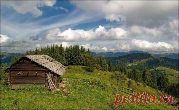 (10) Facebook