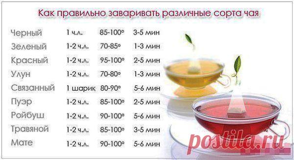 правильная заварка чая