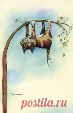 It's crazy here this morning. A Gary Patterson cat.