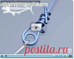 Сохранение информации из Интернет в компьютер